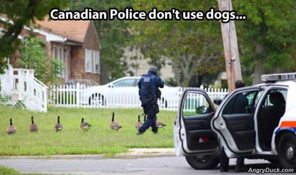 Canadian Police