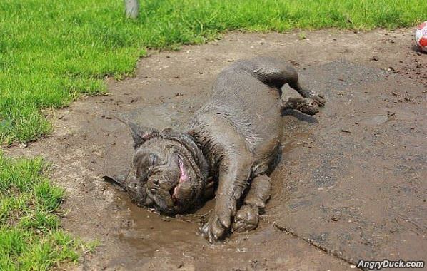 I Loooove The Mud