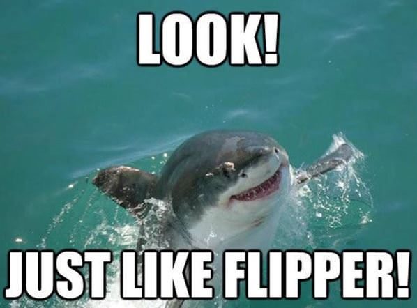 Just Like Flipper