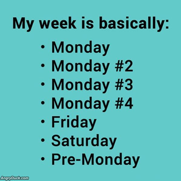 My Week