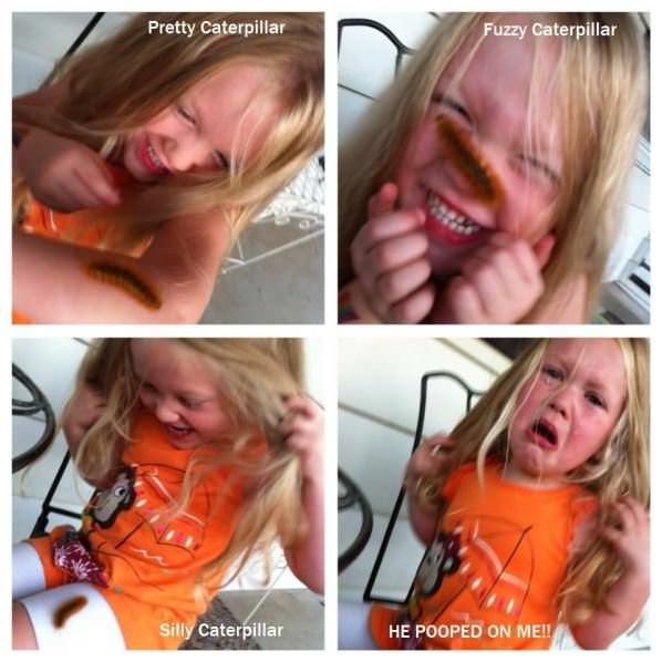 Oh Fuzzy Caterpillar