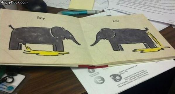 Picture Worth 1000 Words