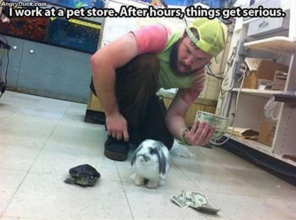 Serious Pet Store