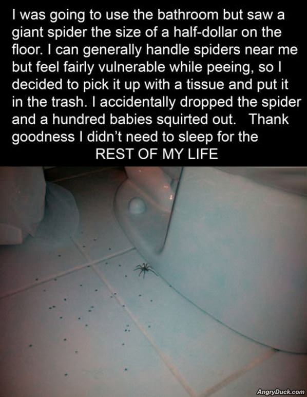 Spider Surprise