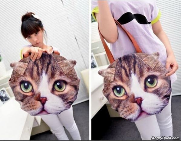 The Cat Bag