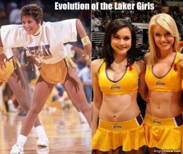 The Evolution