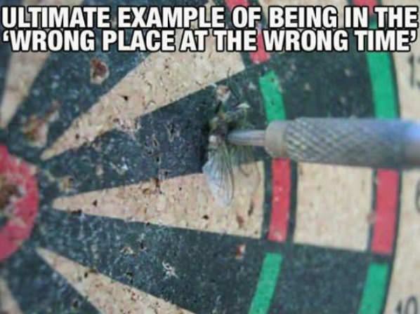 Wrong Place Wrong Time