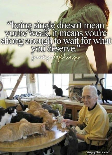 All The Single Ladies