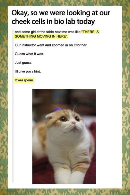 Bio Lab Something Moving