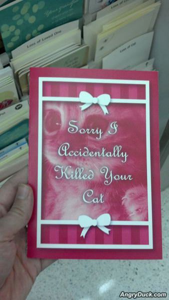 Card For Everything Now