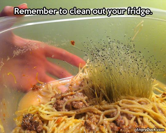Clean Out Your Fridge