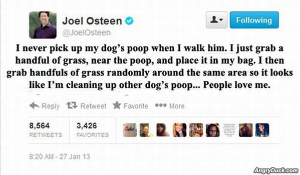 Cleaning Up Poop