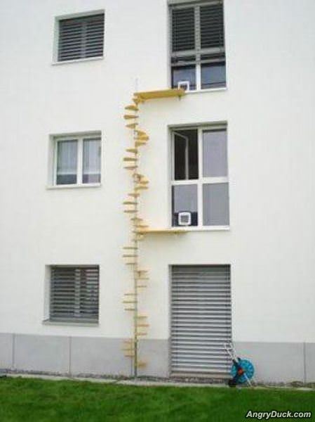 The Cat Entrance
