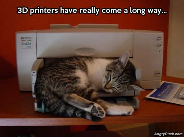 3d Printer