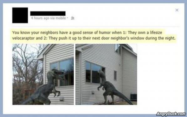 Cool Neighbors