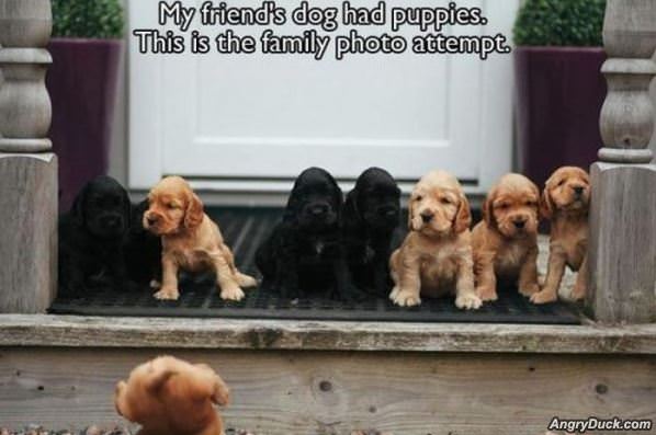 Family Photo Attempt