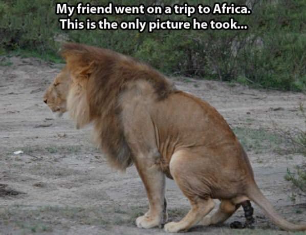 Went To Africa