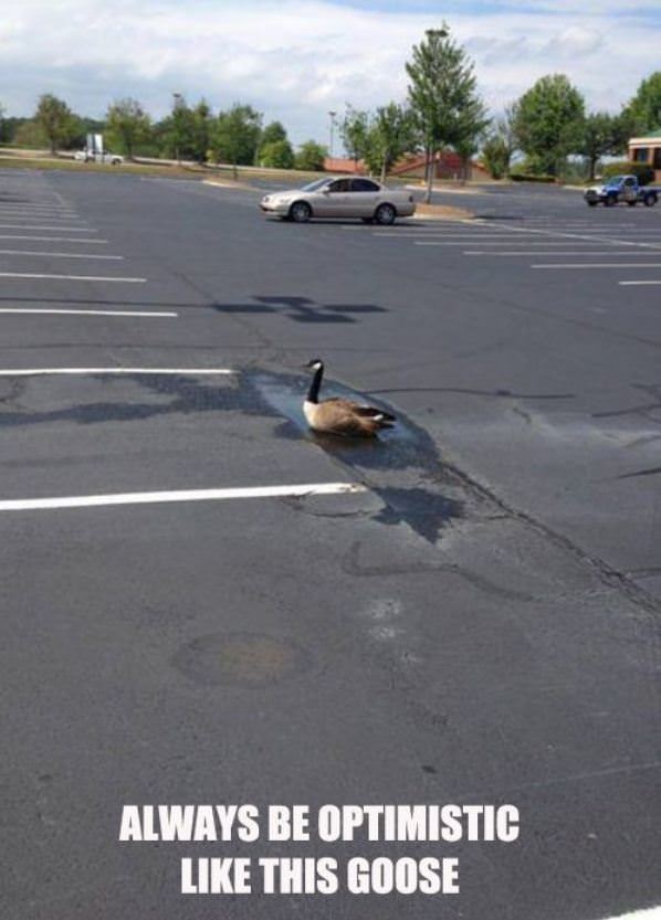 Always Be Optimistic