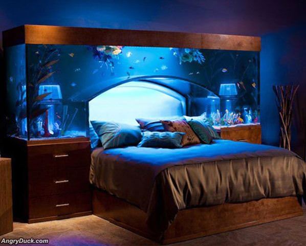 Aquarium Bed