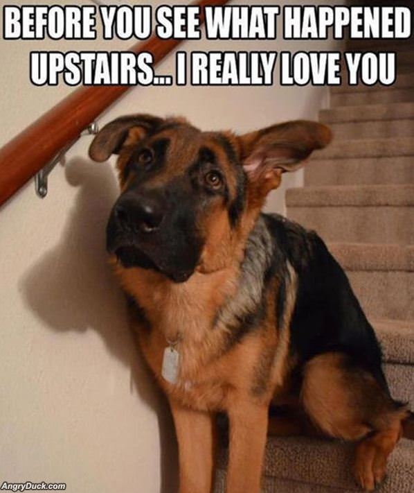 Before You Go Upstairs