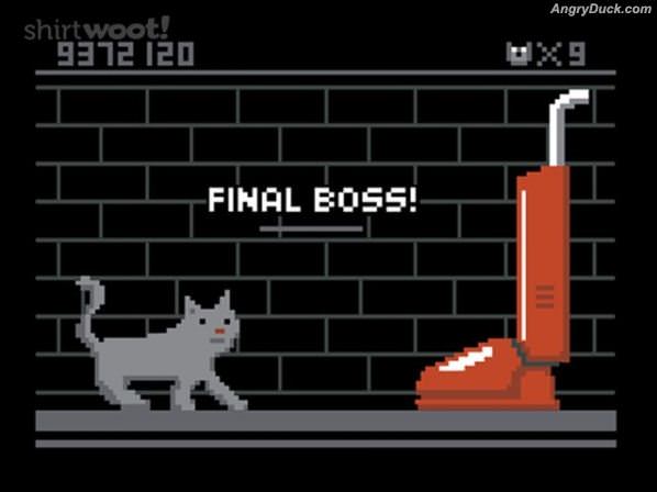 Cats Final Boss