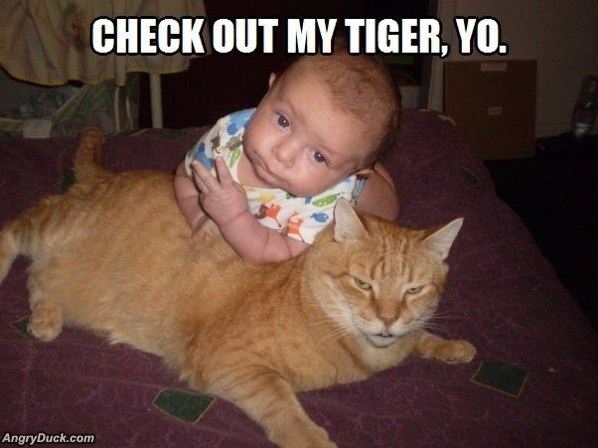 Check Out My Tiger