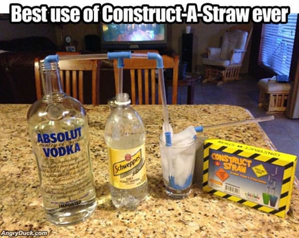 Construct A Straw