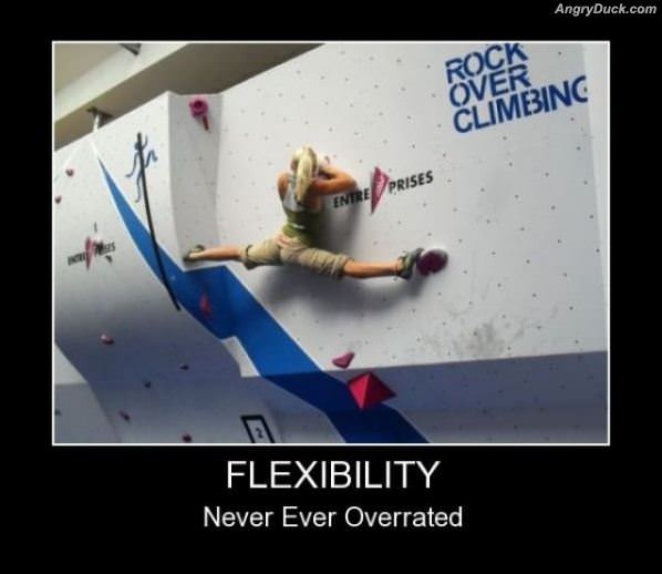 Flexibility