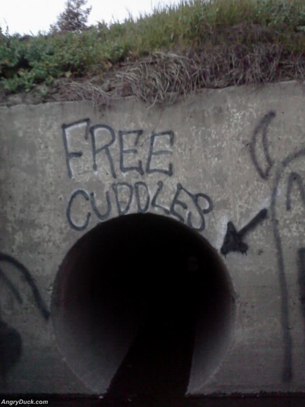 Free Cuddles