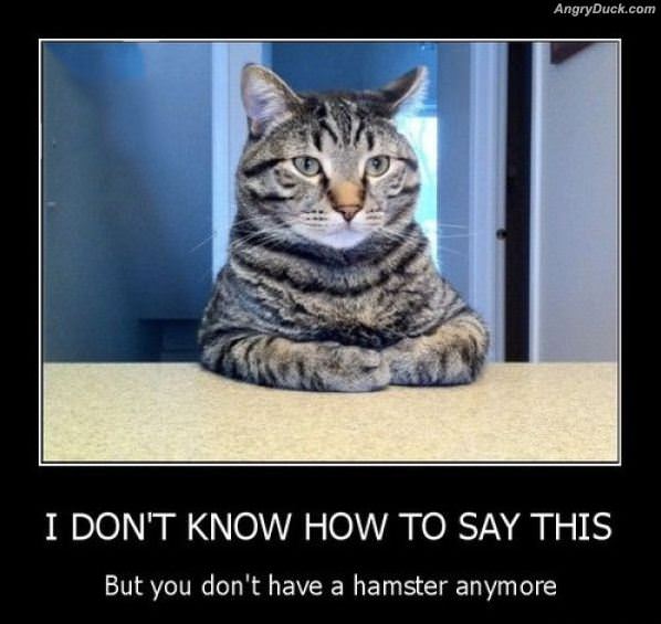 I Dont Know How To Say It