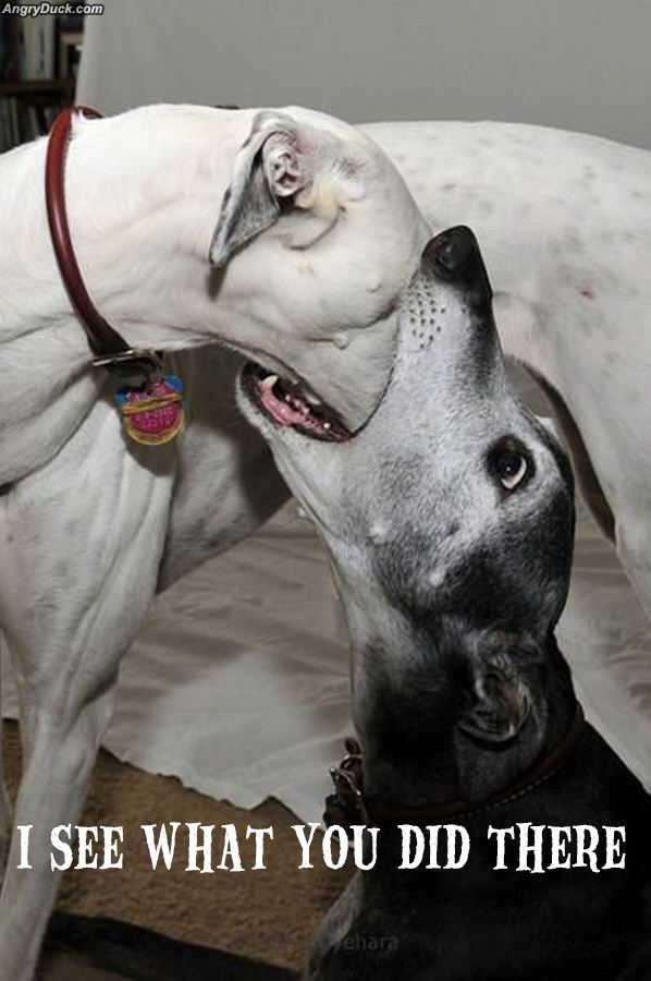 I See What You Did There