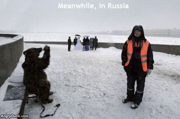 Meanwhile In Russia