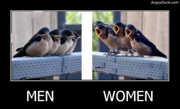 Men Vs Women