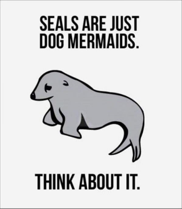 Seals