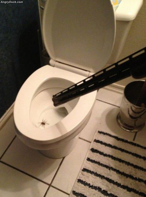 Seems Like Just Enough