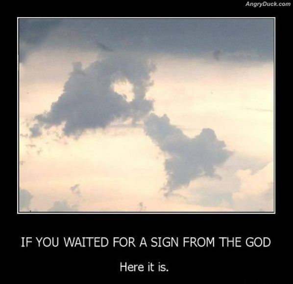 The End Of The Zamboni