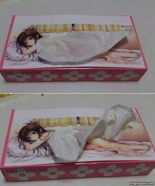Weird Tissue Box