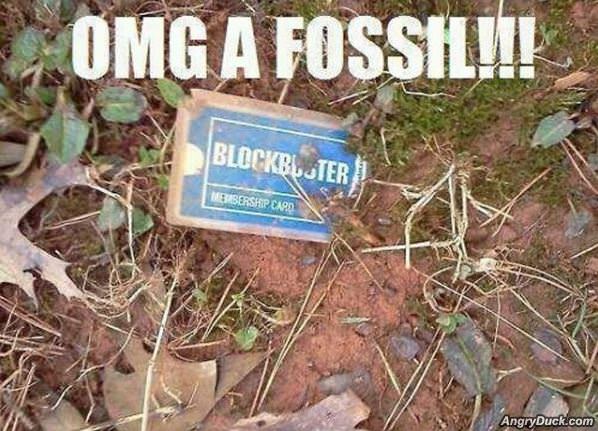 A Fossil