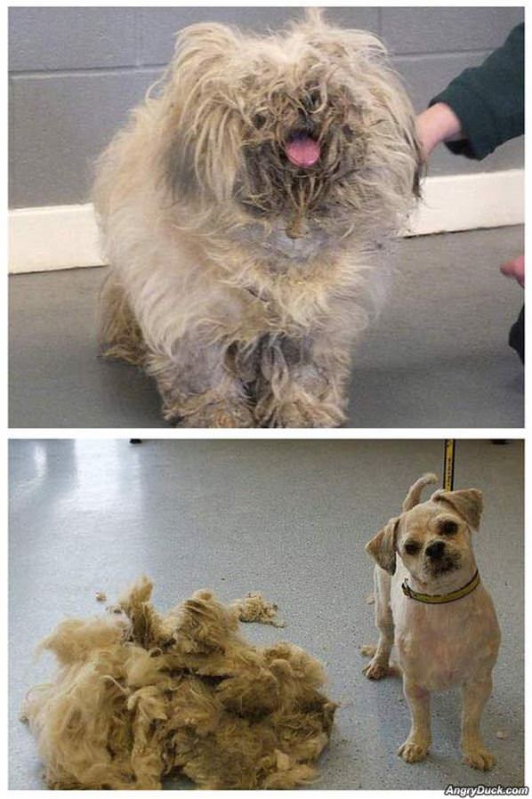Before And After