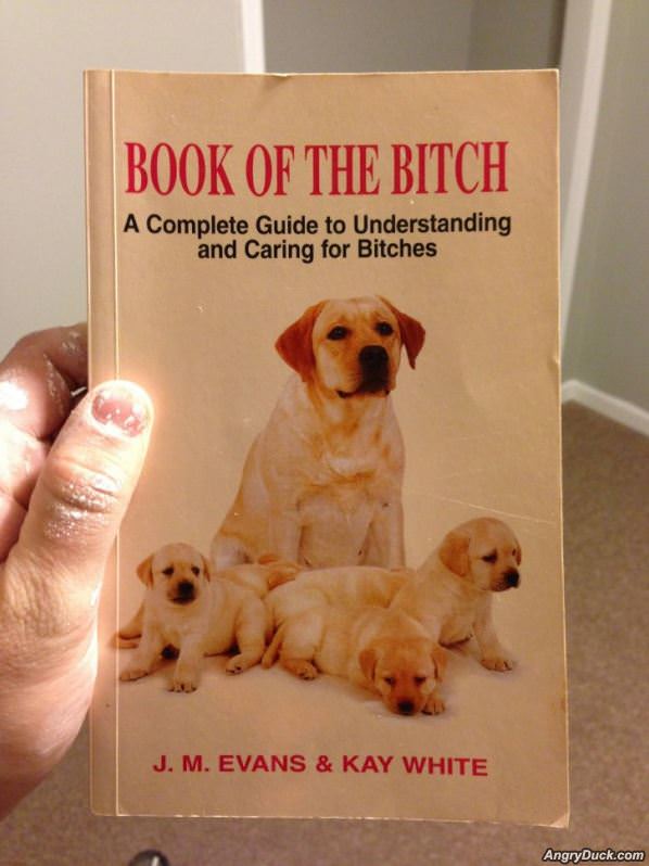 Book Of The Bitch