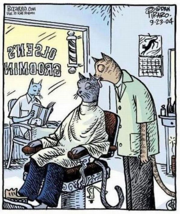 Cat Barber