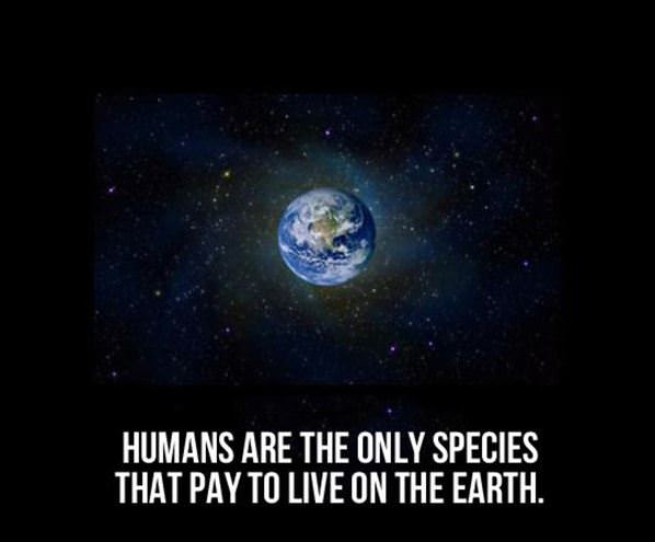 The Only Species