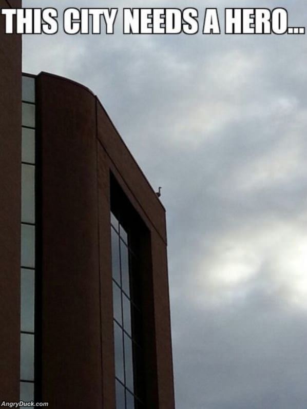 This City Needs A Hero