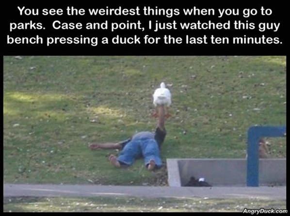 Weirdest Things