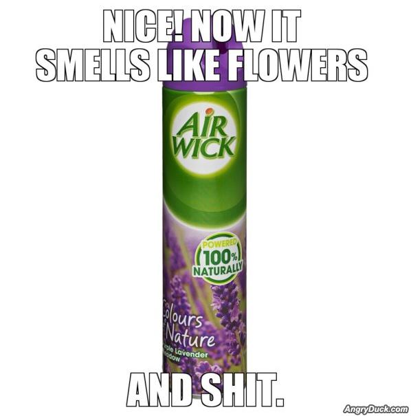 Air Fresheners