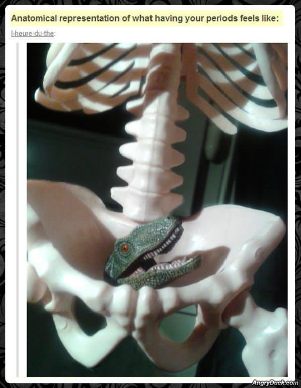 Anatomical Representation