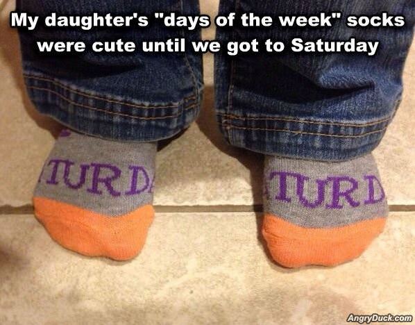 Day Of The Week Socks