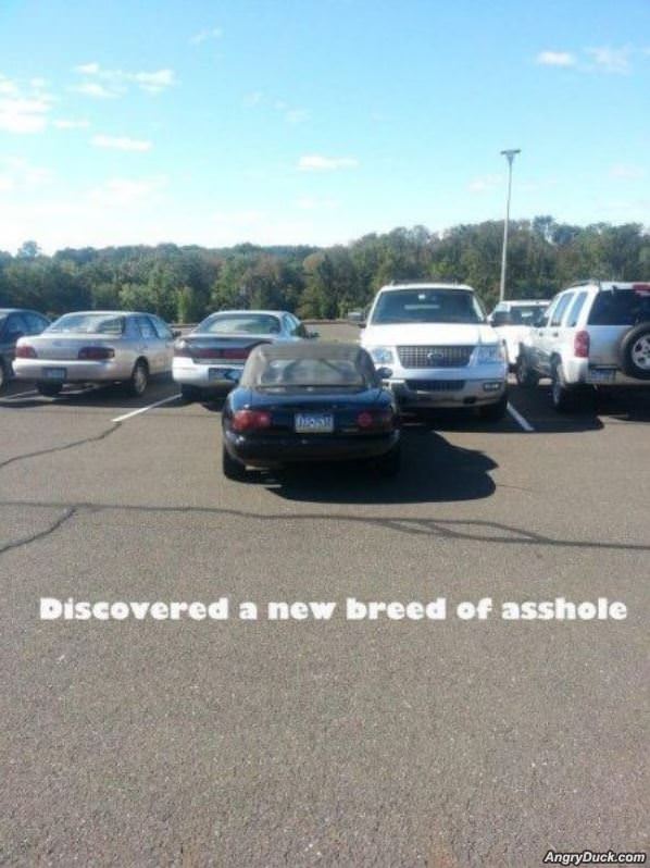 Nice Parking