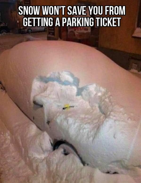 Snowy Ticket