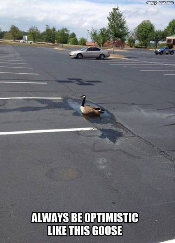 Always Be Optimistic